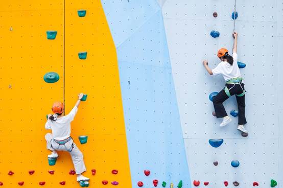 春暖花开，“岩”途有你 我校举办春日校友回校攀岩活动