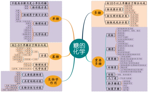 《生物化学》课"蔗糖和麦芽糖的比较"思维导图 制图人:彭炳新